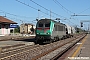 Alstom BB36034 - SNCF "E436334MF"
10.08.2013 - Codogno -Lo-Ferdinando Ferrari