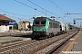 Alstom BB36034 - SNCF "E436334MF"
10.08.2013 - Codogno -Lo-
Ferdinando Ferrari