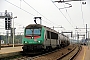 Alstom BB36037 - SNCF "E436337MF"
23.10.2019 - Alessandria
Dr. Günther Barths