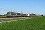 Alstom BB36044 - SNCF "E436344MF"
31.07.2013 - Olcenengo
Francesco Raviglione