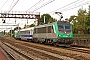 Alstom BB36045 - SNCF "436345"
18.09.2009 - Saint-Michel sur Orge
Jean-Claude Mons