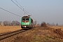 Alstom BB36052 - SNCF "E436352MF"
16.01.2012 - Maleo
Ferdinando Ferrari