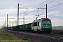Alstom BB36052 - SNCF "E 436 352 MF"
__.01.2007 - Méximieux
Nico Demmusse