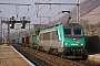 Alstom BB36056 - SNCF "436056"
24.12.2005 - Montmélian
André Grouillet
