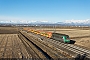 Alstom BB36056 - SNCF "436356"
29.12.2017 - San Germano Vercellese
Francesco Raviglione