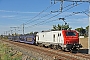 Alstom CON 031 - EPF "E 37531"
27.10.2014 - VillenouvelleThierry Leleu