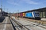 Alstom ? - ČD Cargo "388 017-6"
22.04.2026 - PirnaDieter Stiller