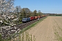 Alstom ? - ČD Cargo "388 026-7"
22.04.2026 - EmmendorfGerd Zerulla