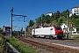Alstom CON 017 - EPF "E 37517"
25.08.2016 - MontbéliardVincent Torterotot