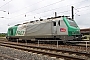 Alstom FRET 002 - SNCF "427002"
20.07.2011 - Strasbourg-Hausbergen
Michael Goll