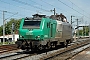 Alstom FRET 004 - SNCF "427004"
25.05.2005 - Woippy
André Grouillet