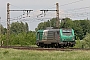 Alstom FRET 005 - SNCF "427005"
25.05.2010 - Vougeot
Sylvain  Assez