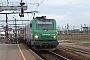 Alstom FRET 005 - SNCF "427005M"
23.03.2013 - Les Aubrais Orléans (Loiret)
Thierry Mazoyer