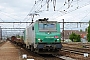 Alstom FRET 008 - SNCF "427008M"
13.04.2014 - Les Aubrais Orléans (Loiret)
Thierry Mazoyer