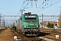Alstom FRET 011 - SNCF "427011M"
12.01.2014 - Les Aubrais-Orléans (Loiret)
Thierry Mazoyer