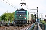 Alstom FRET 012 - SNCF "427012M"
02.05.2019 - Montlouis sur Loire
Alexander Leroy