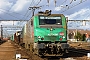 Alstom FRET 013 - SNCF "427013M"
02.02.2014 - Les Aubrais Orléans (Loiret)
Thierry Mazoyer