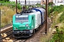 Alstom FRET 016 - SNCF "427016M"
31.08.2014 - Les Aubrais Orléans (Loiret)
Thierry Mazoyer