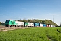 Alstom FRET 018 - SNCF "427018"
16.04.2014 - Toul
Renaud Chodkowski