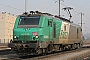 Alstom FRET 019 - SNCF "427019"
12.02.2008 - Sibelin
Sylvain  Assez