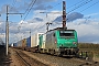 Alstom FRET 019 - SNCF "427019"
23.03.2014 - Gevrey-Chambertin
Gregory Haas