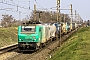 Alstom FRET 019 - SNCF "427019M"
04.03.2021 - Gevrey
Sylvain Assez