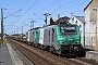 Alstom FRET 021 - SNCF "427021"
13.08.2026 - ArnekeAndré Grouillet