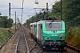Alstom FRET 024 - SNCF "427024"
25.09.2012 - Vougeot Gilly les Citeaux
Sylvain  Assez