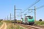 Alstom FRET 028 - SNCF "427028"
25.07.2020 - Péries
Alexander Leroy