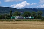 Alstom FRET 031 - SNCF "427031"
08.08.2019 - Rouffach
Vincent Torterotot
