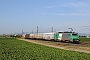 Alstom FRET 035 - SNCF "427035"
23.06.2010 - Sand
André Grouillet