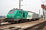 Alstom FRET 036 - SNCF "427036"
10.04.2008 - Vaires
Rudy Micaux