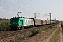 Alstom FRET 036 - SNCF "427036"
10.08.2012 - Hochfelden
Arne Schuessler