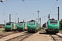 Alstom FRET 038 - SNCF "427038"
15.07.2007 - Gevrey
Sylvain  Assez