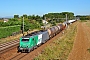 Alstom FRET 041 - SNCF "427041"
13.08.2016 - Genlis
Pierre Hosch