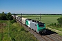 Alstom FRET 043 - SNCF "427043"
08.06.2017 - Rouffach
Vincent Torterotot