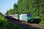 Alstom FRET 043 - SNCF "427043"
23.08.2017 - Tagolsheim
Vincent Torterotot