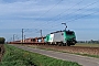 Alstom FRET 044 - SNCF "427044"
10.04.2011 - Hazebrouck
Nicolas Beyaert
