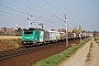 Alstom FRET 052 - SNCF "427052"
14.03.2014 - Hochfelden
Yannick Hauser