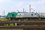 Alstom FRET 055 - SNCF "427055"
06.09.2014 - Les Aubrais Orléans (Loiret)
Thierry Mazoyer