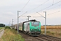 Alstom FRET 055 - SNCF "427055"
24.08.2018 - Hochfelden
ALexander Leroy