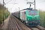 Alstom FRET 058 - SNCF "427058"
17.04.2014 - Béthune
Renaud Chodkowski