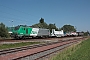 Alstom ? - SNCF "427059"
10.08.2012 - Dunkerque/Petite-Synthe
Nicolas Beyaert