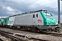 Alstom FRET 064 - SNCF "427064"
12.04.2008 - Vaires
Rudy Micaux