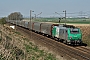Alstom FRET 066 - SNCF "427066"
01.04.2012 - Boisleux-au-Mont
Mattias Catry