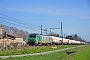 Alstom FRET 069 - SNCF "427069"
10.03.2021 - Villefranche de Lauragais PN211
Thierry Leleu