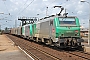 Alstom FRET 073 - SNCF "427073"
24.06.2011 - HazebrouckAndy Paxford
