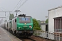 Alstom FRET 074 - SNCF "427074"
21.05.2014 - Les Aubrais Orléans (Loiret)
Thierry Mazoyer