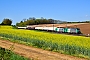 Alstom FRET 080 - SNCF "427080"
29.04.2017 - EvansPierre Hosch