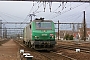 Alstom FRET 081 - SNCF "427081"
17.02.2012 - Les Aubrais Orléans (Loiret)
Thierry Mazoyer